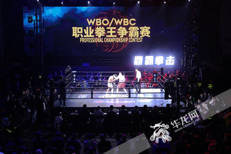 世界职业拳王争霸赛2023