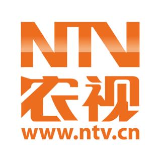 www.tvants.com